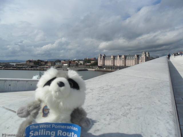 sam_0258