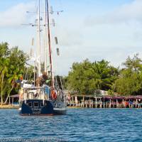 2017 / Wassyl na wyspach Tonga